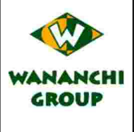 Customer Service Team Leader Needed At Wananchi Group Tanzania Ltd