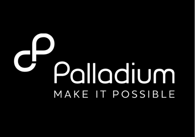 Program Manager for Health Needed At Palladium