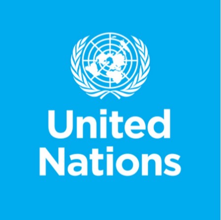 Chief, Procurement Needed At United Nations