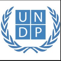 RCO – Business Operations and Coordination Analyst at UNDP