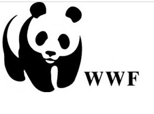 Project Executant  NeededAt World Wide Fund (WWF)