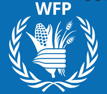 Gender and Protection Intern at WFP