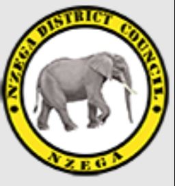 Job Vacancies at Nzega District Council 2023