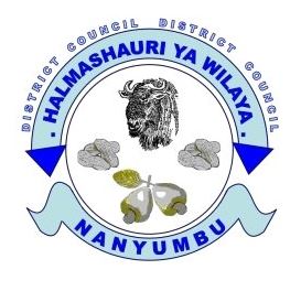 Job Vacancies at Nanyumbu District Council August 2023