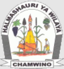 Job Vacancies Chamwino District Council September 2023
