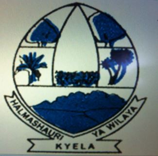  Job Vacancies at Kyela District Council March 2023