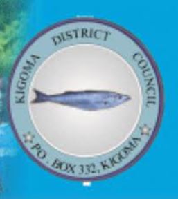 4 Job Vacancies at Kigoma District Council Nov 2021