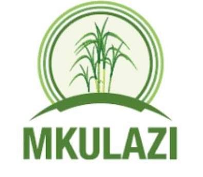 Job Vacancies at Mkulazi Holding October 2022