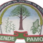 Job vacancies at Njombe District Council July 2024