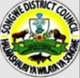 Job vacancies at Songwe District July 2024