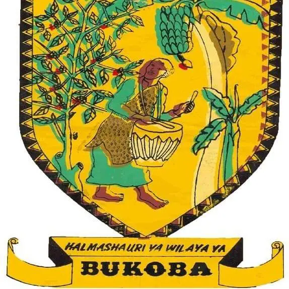  Job Vacancies at Bukoba District Council August 2023