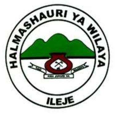 Job Vacancies Ileje District Council Feb 2024