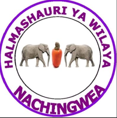 20 Job vacancies Nachingwea District Council May 2022