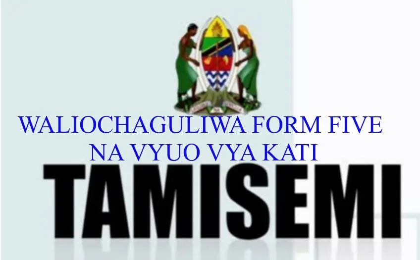 Form Four Waliochaguliwa Kujiunga Na Vyuo 2023 Printable Forms Free