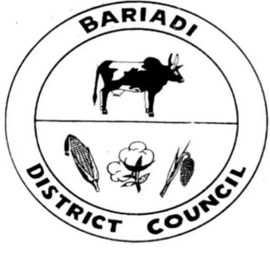 Job Vacancies at Bariadi District Council August 2023