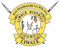 41 Job Vacancies at Liwale District Council August 2022