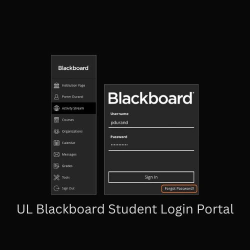 UL Blackboard login guide at tmlearn.ul.ac.za