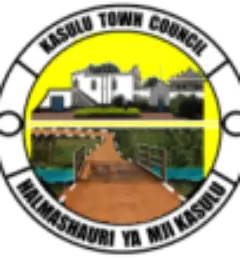 Job Vacancies Kasulu Town Council August 2023