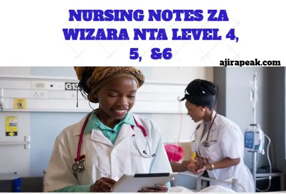 Nursing and midwifery Notes NTA 4, 5 &6 Wizara Download