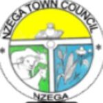 Job Vacancies at Nzega Town Council 2024