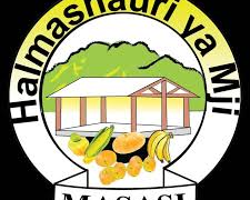 Job vacancies at Masasi Town Council July 2024